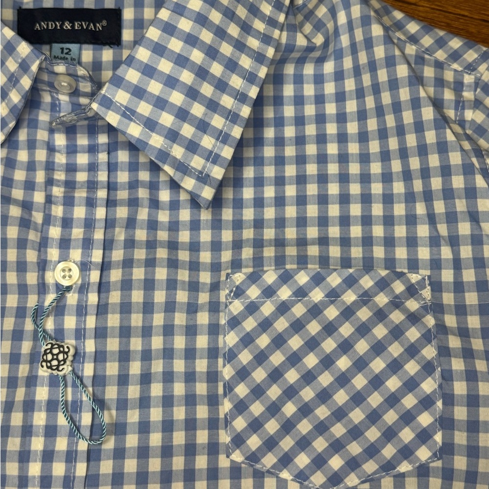 Andy & Evan Boys Shirt Collared Button Down Blue Check Size 12 - Picture 2 of 6